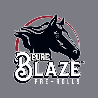 Pure Blaze logo