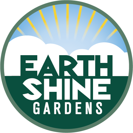 Earthshine logo
