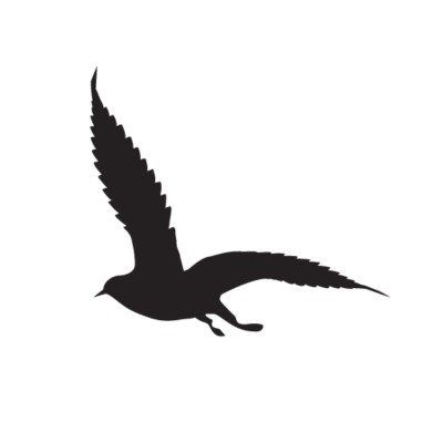 Fairwinds logo