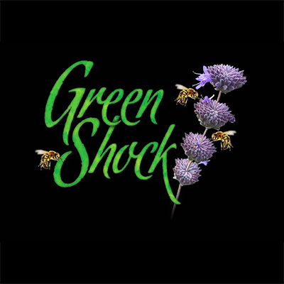 Greenshock logo