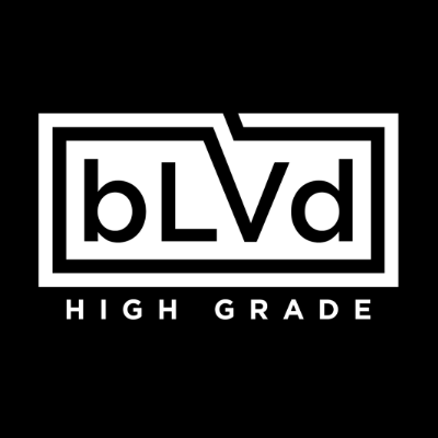 bLVd logo