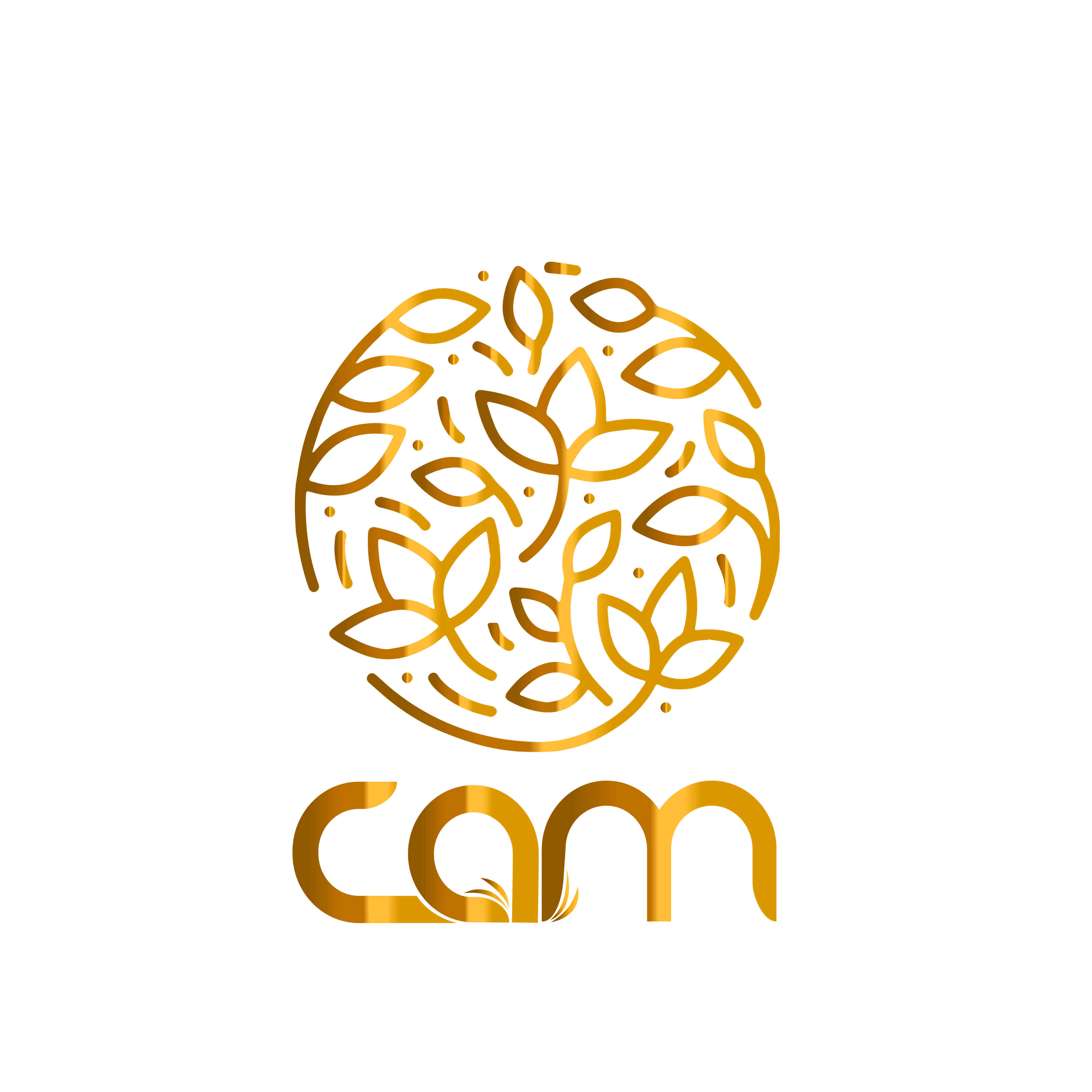 cam logo