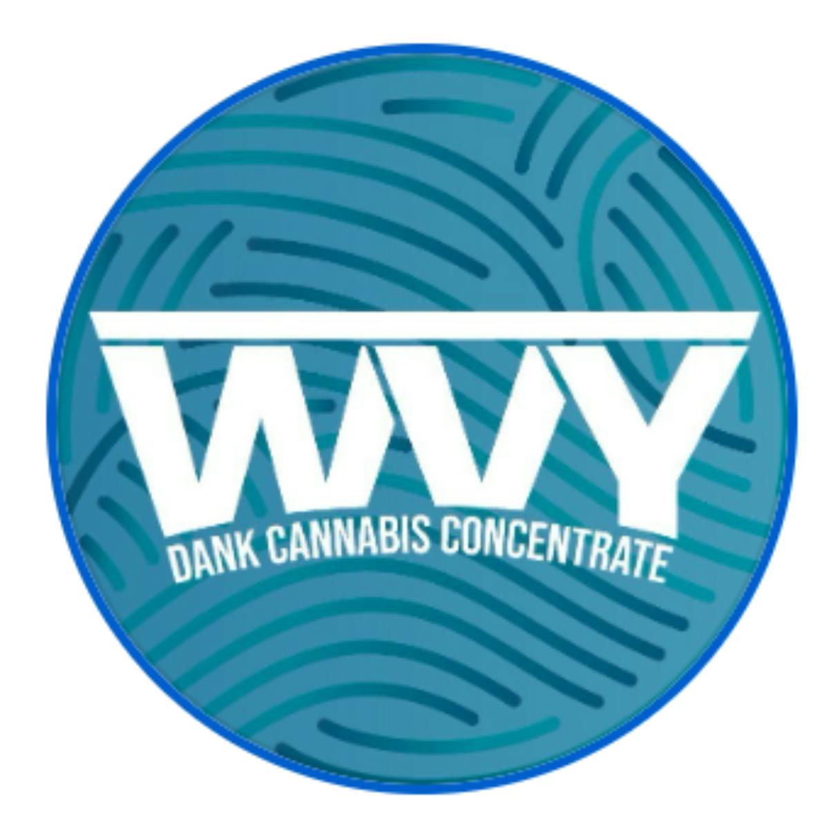 WVY logo