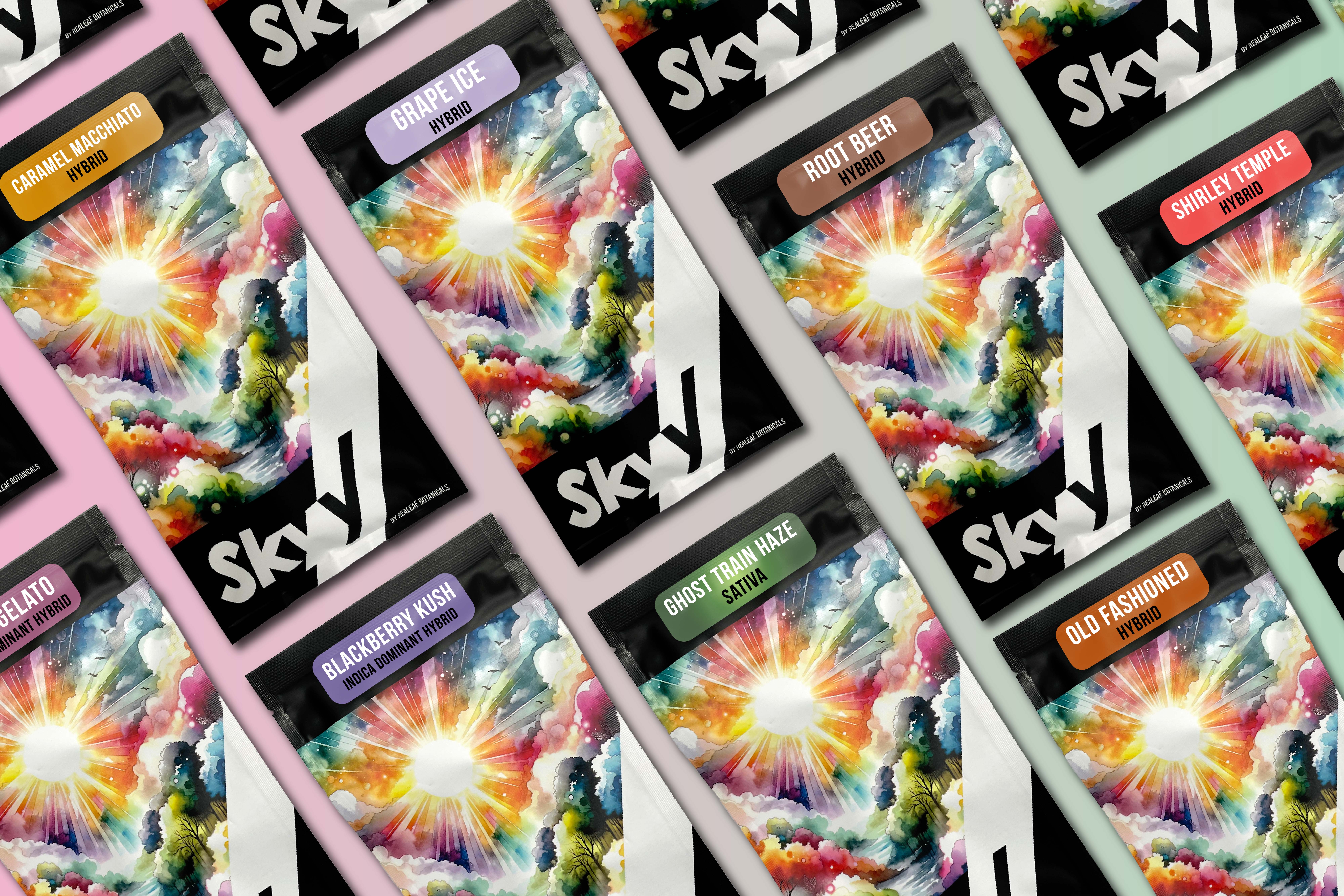 Skyy brand page image