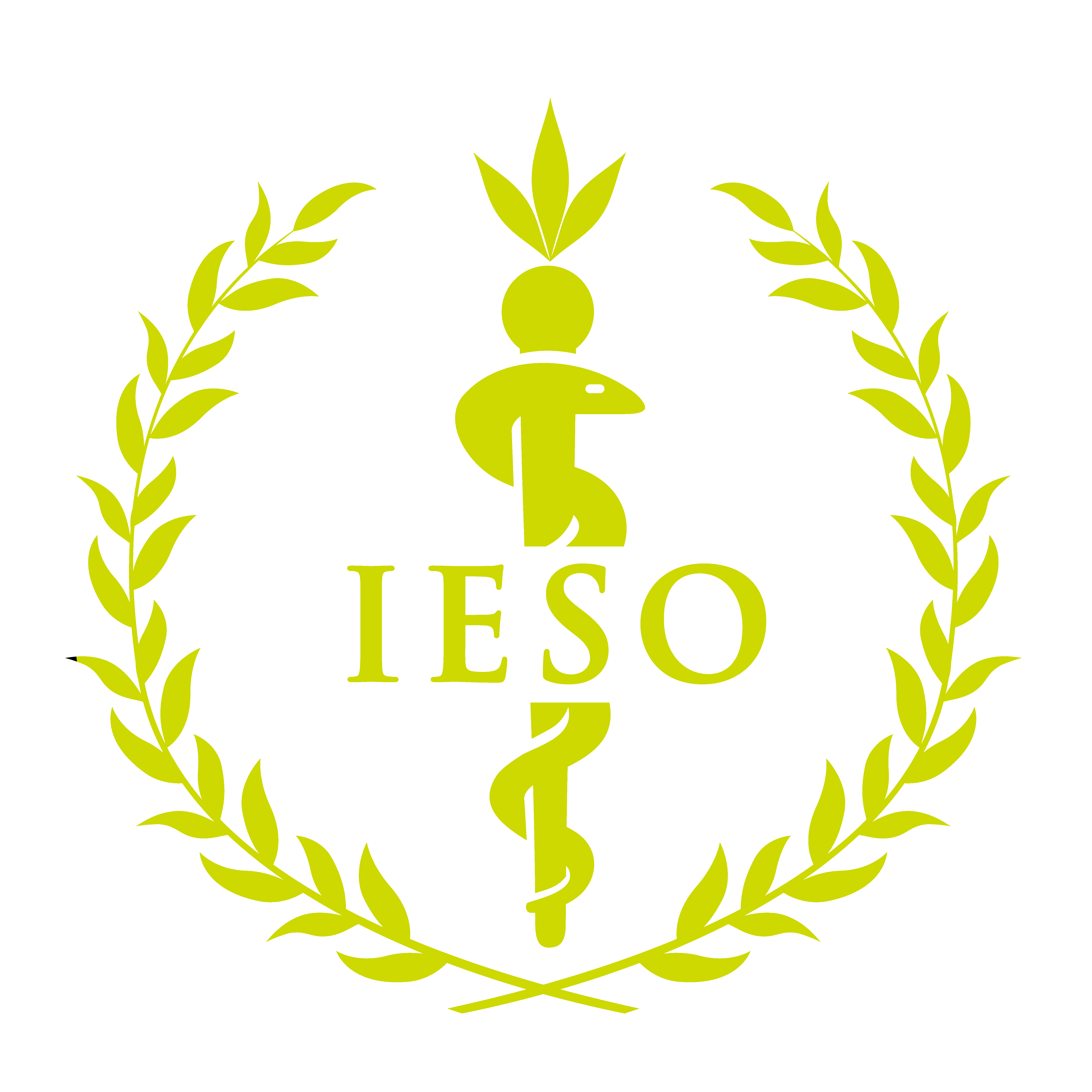 Ieso logo