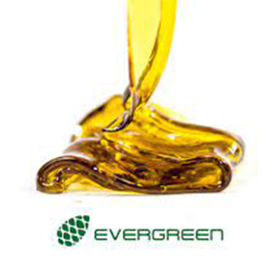 Evergreen logo