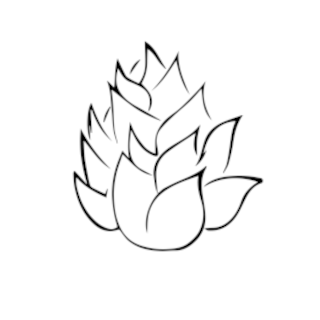 Curated Cannabis logo