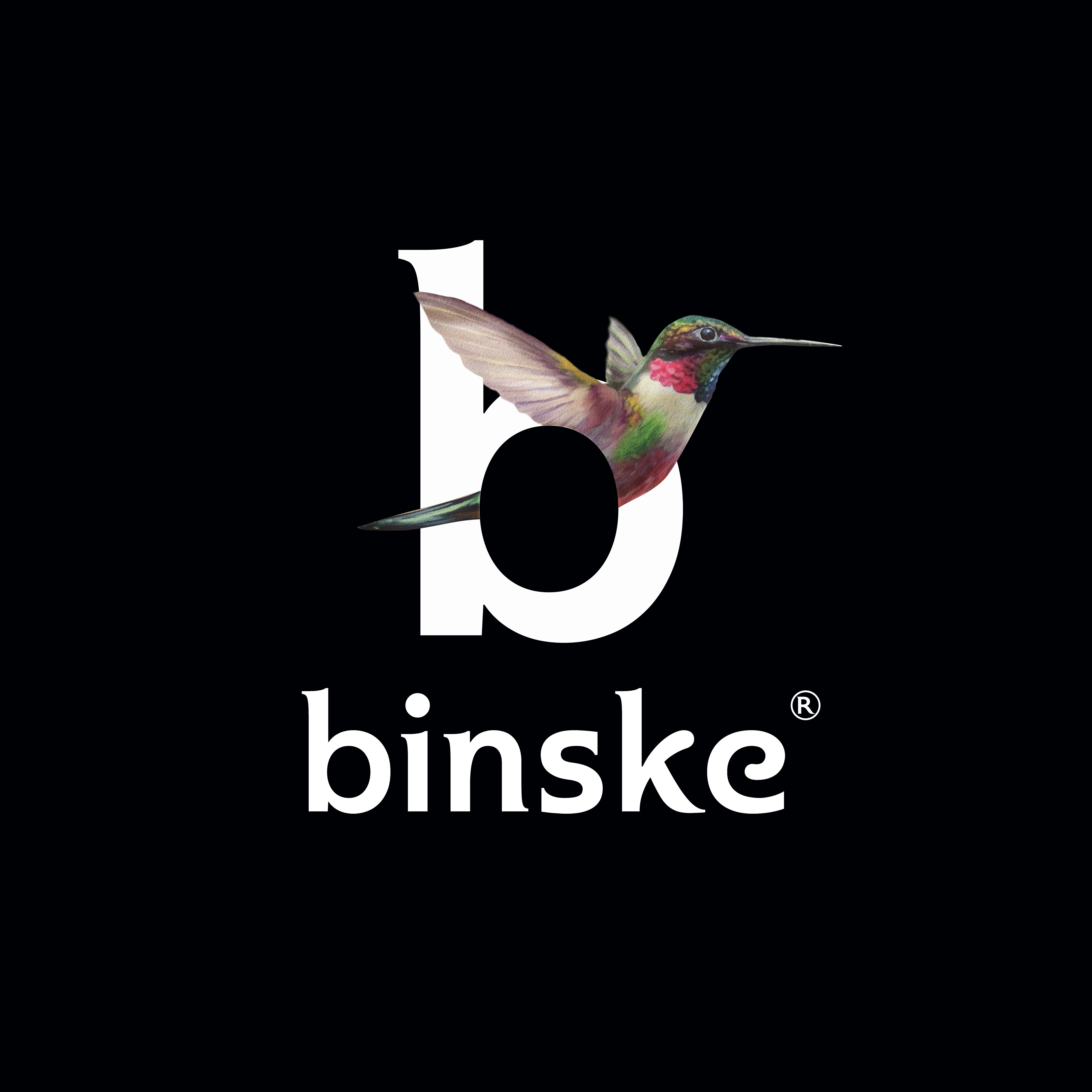 Binske logo