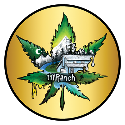 111 Ranch logo