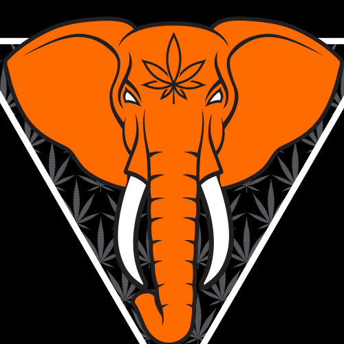 Matriarch logo