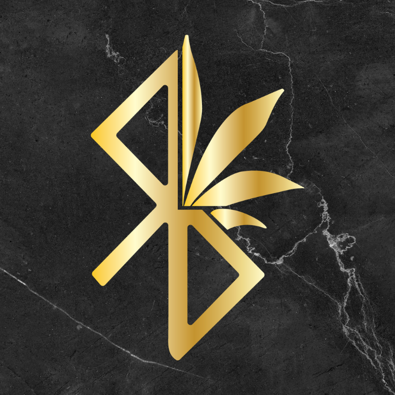 SUBSIDIO logo