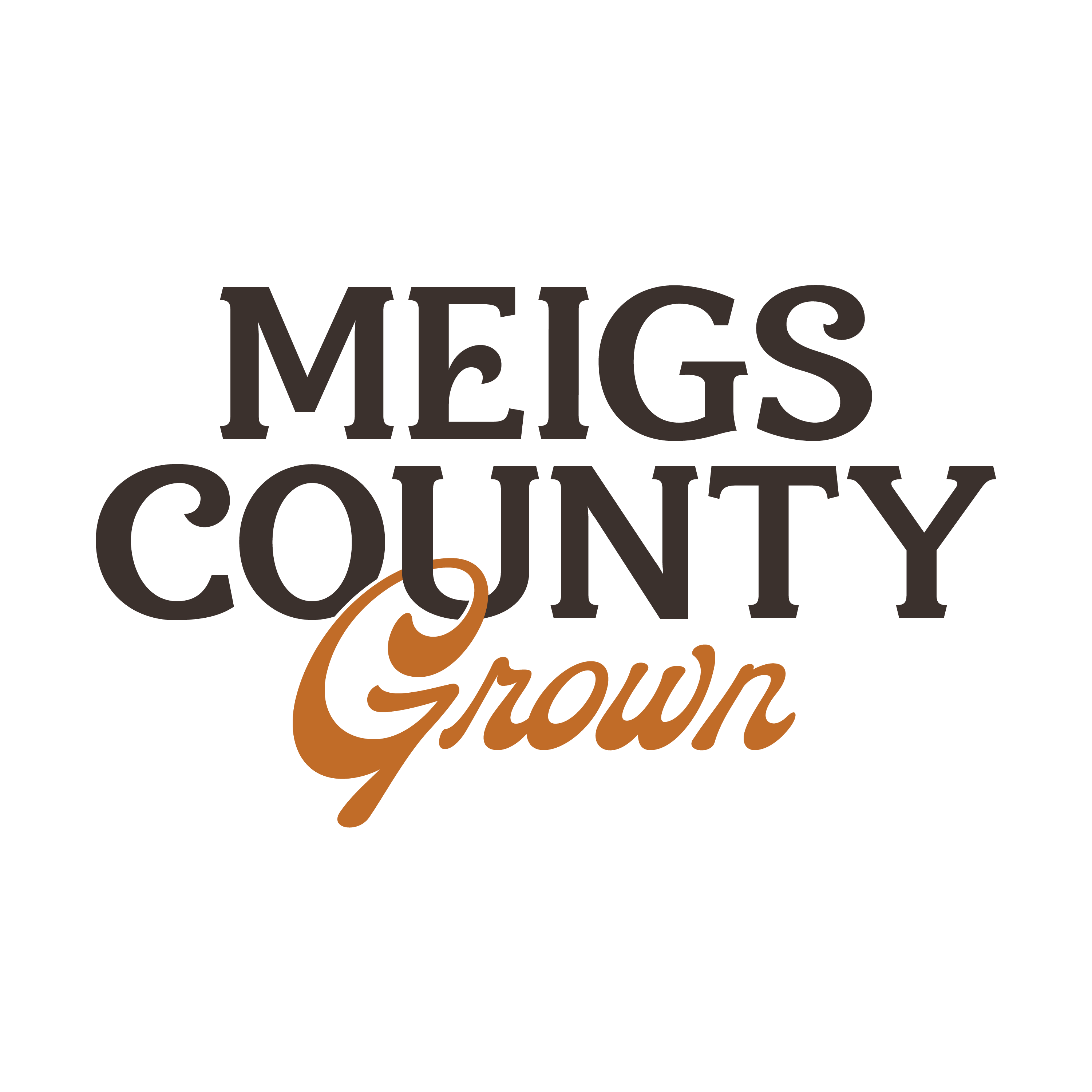 Meigs County logo