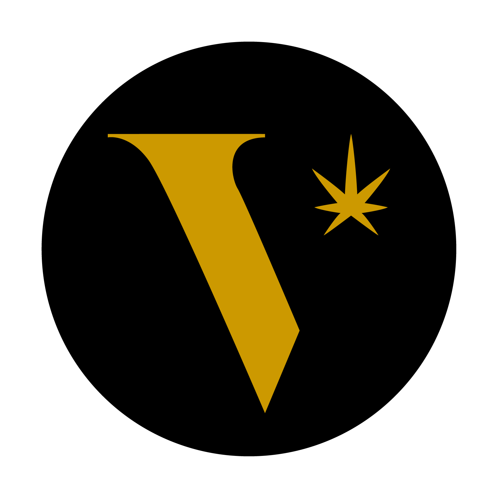 Veritas logo