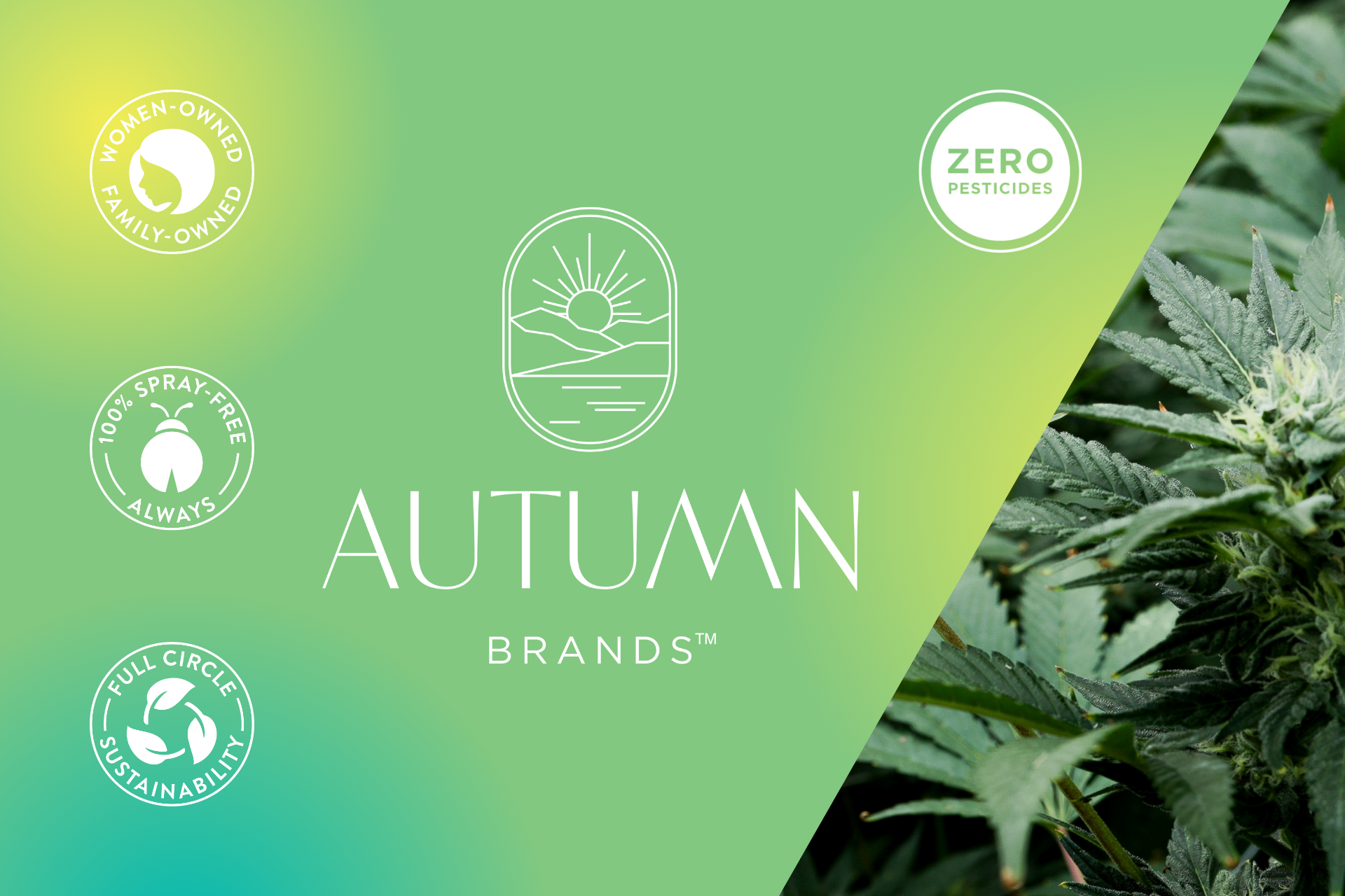 Autumn Brands brand page image