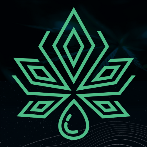 New Standard logo