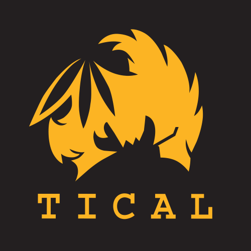 TICAL logo