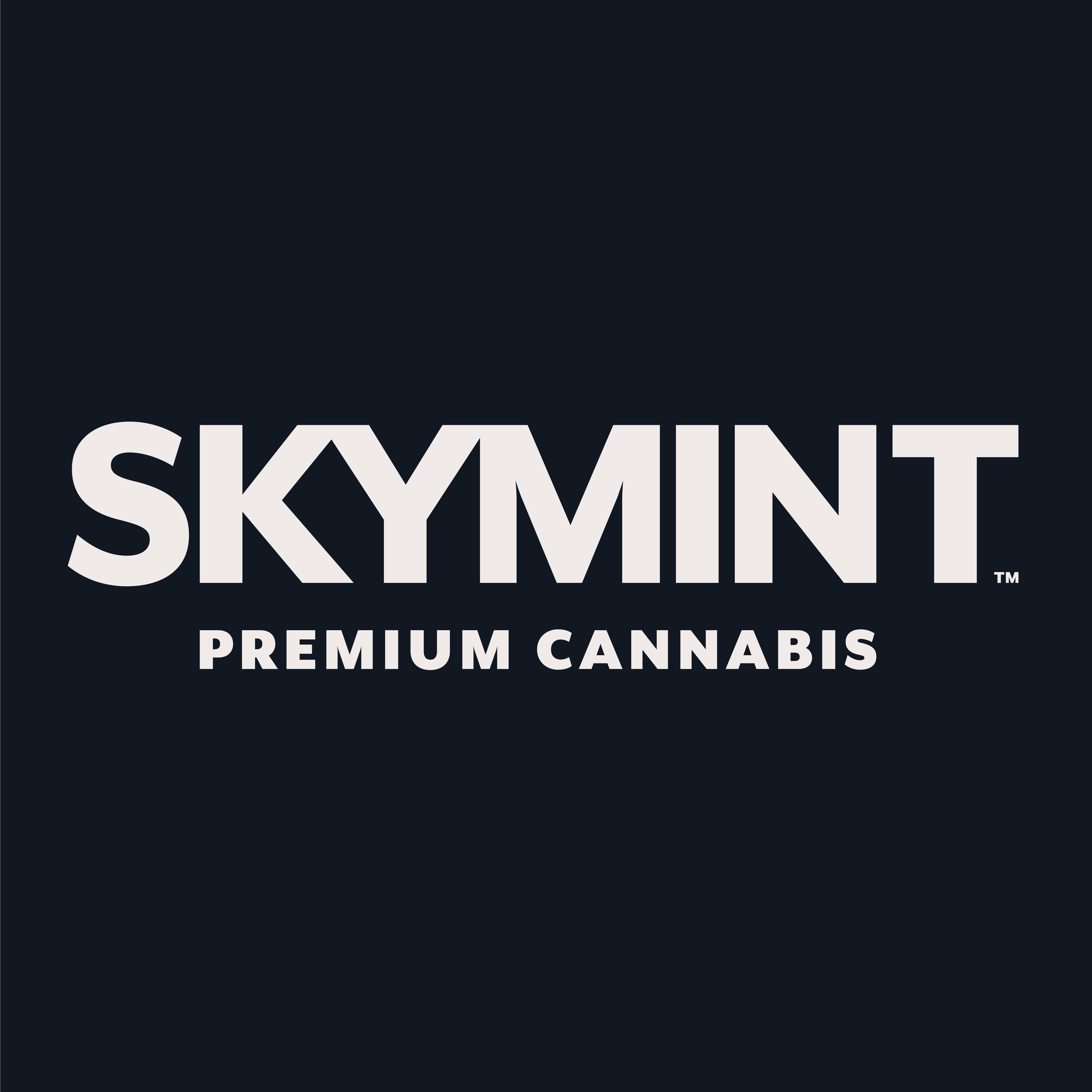 Skymint logo