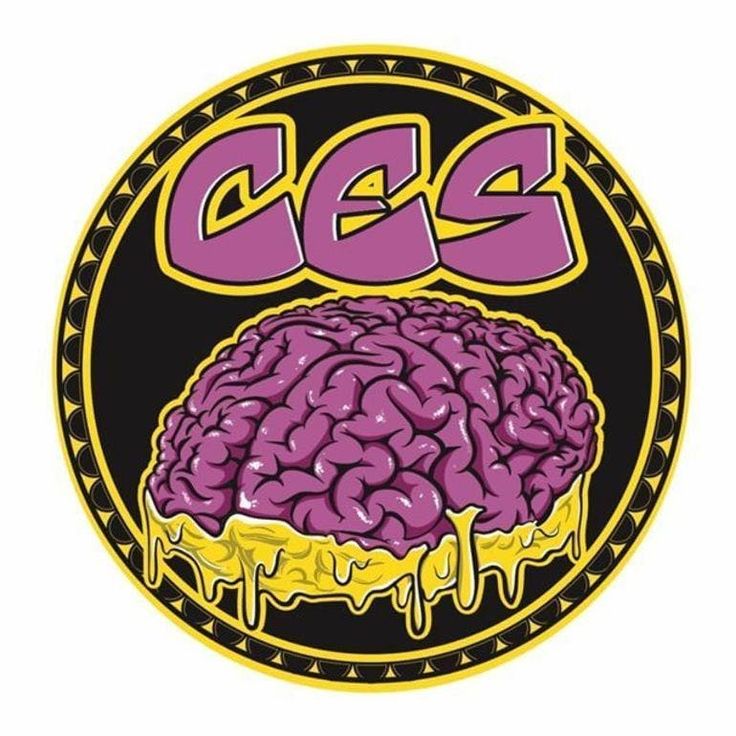 CES logo